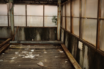 An abandoned industrial space features rusted metal beams and large windows with opaque glass obscured by grime. The floor is cluttered with litter, including papers, plastic, and other debris. A small patch of greenery protrudes into the frame near the windows, adding a touch of life to the otherwise neglected setting.