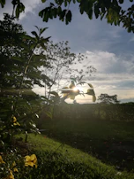 Sunset view of a terraced garden with diverse plants and soft lighting.