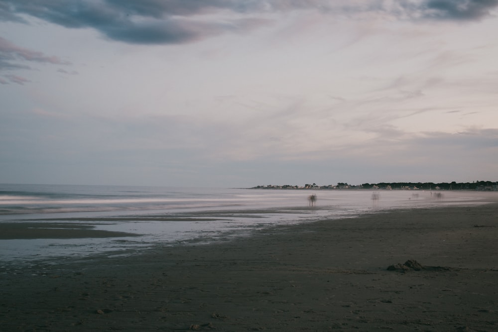 people on beach during daytime