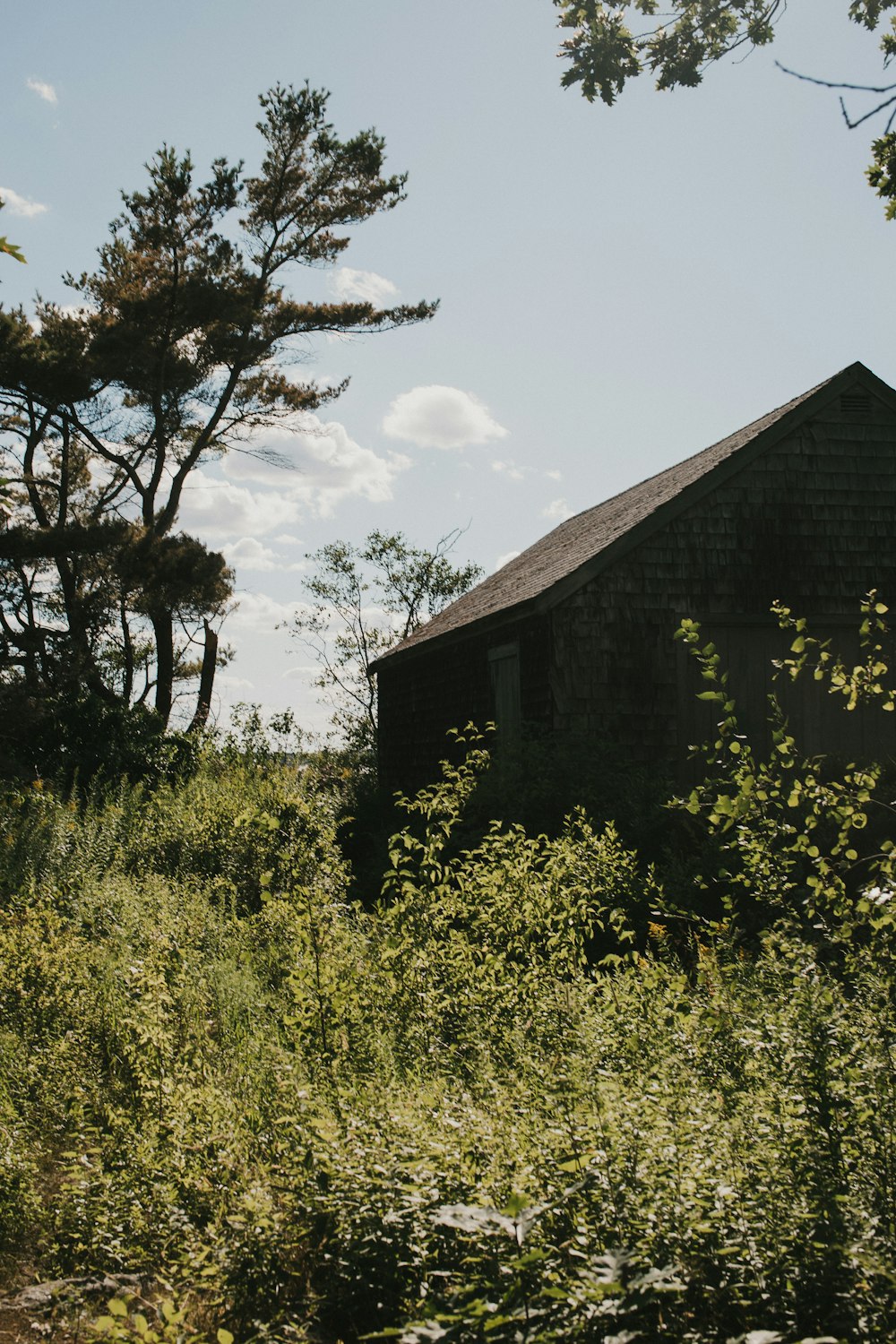 brown wooden house surrounded by green trees under blue sky during daytime