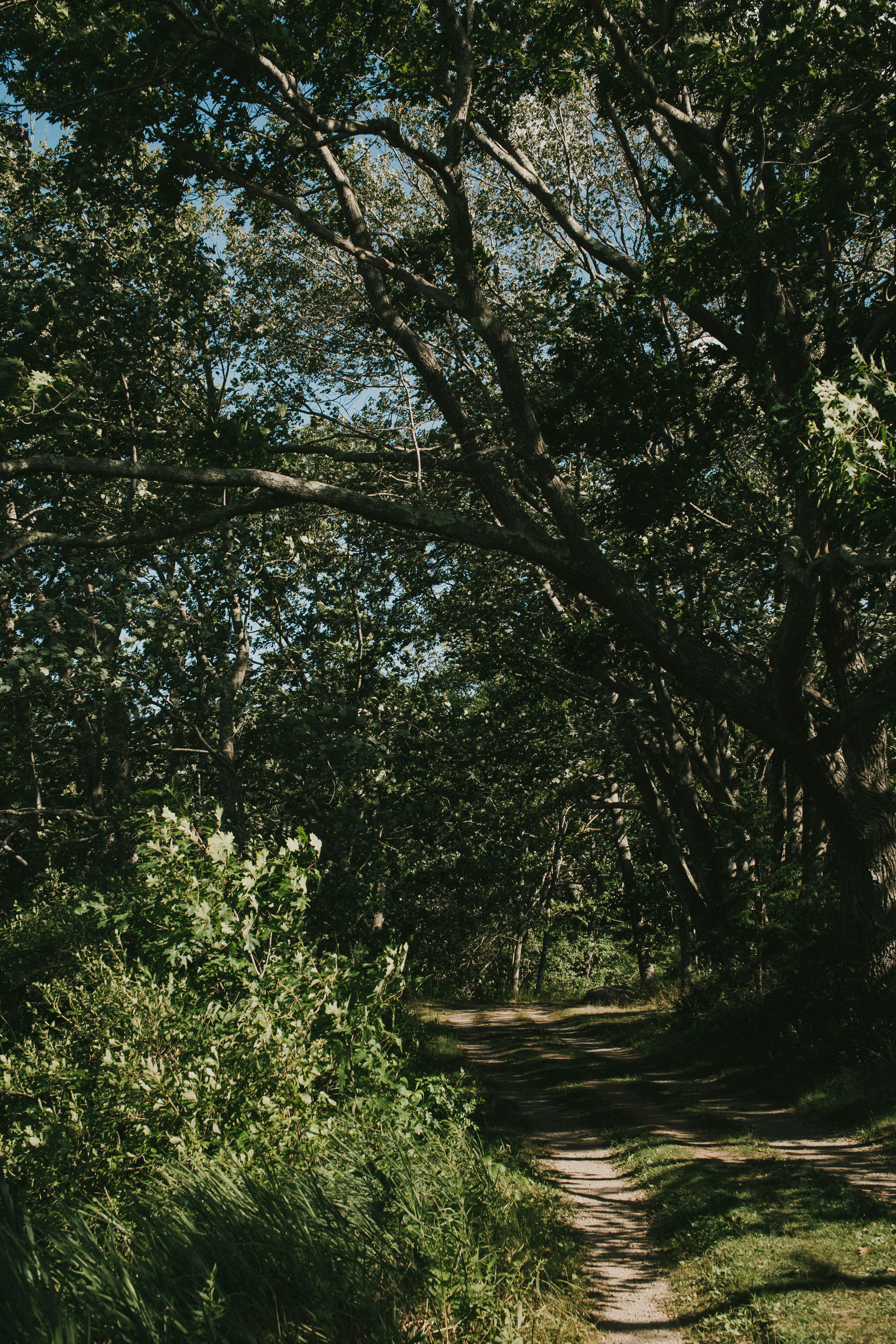 Photo by agdaytonphotography