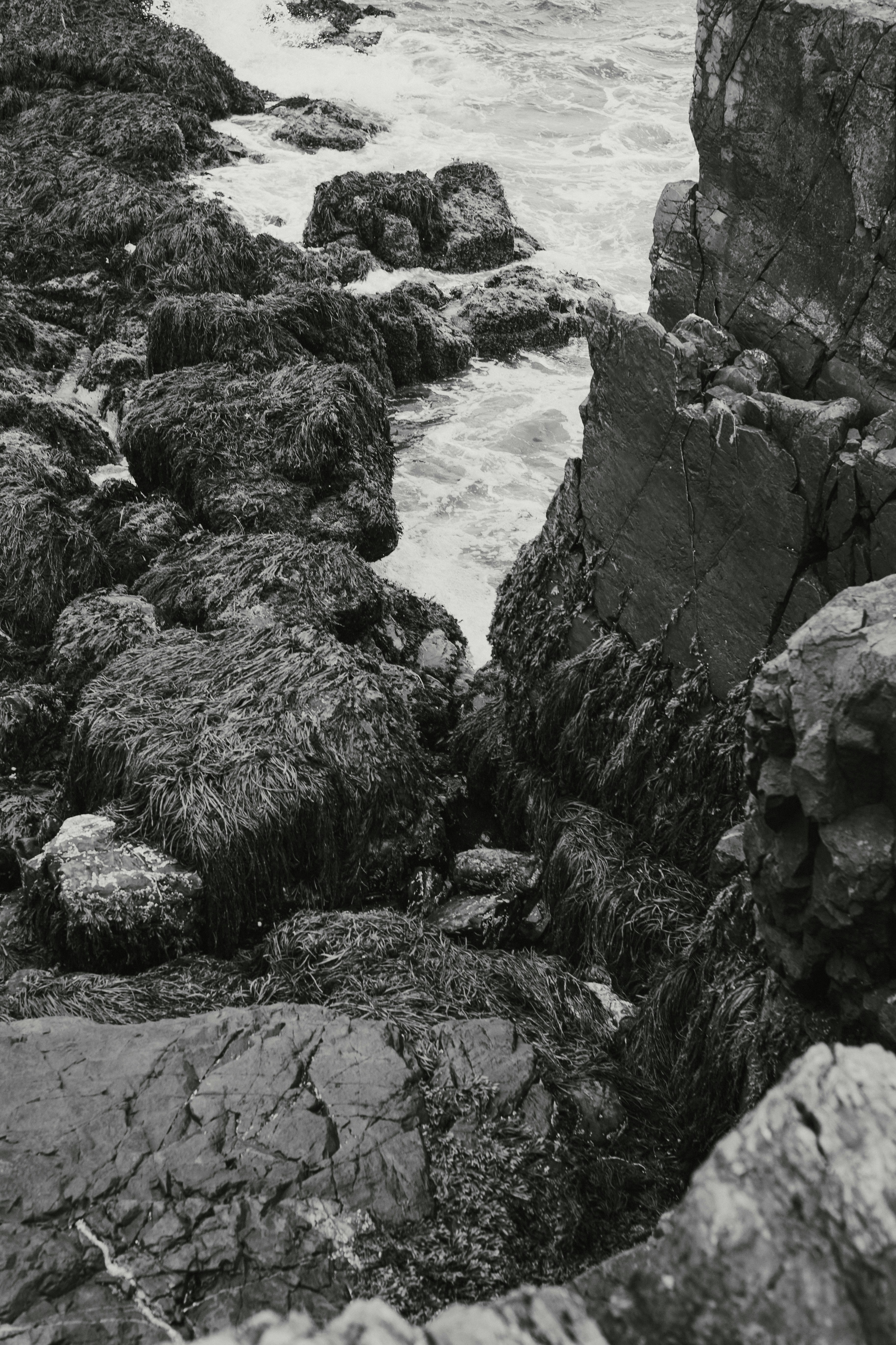 Photo by agdaytonphotography