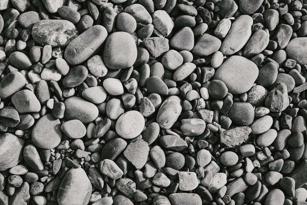 gray and white stones on gray and white stones