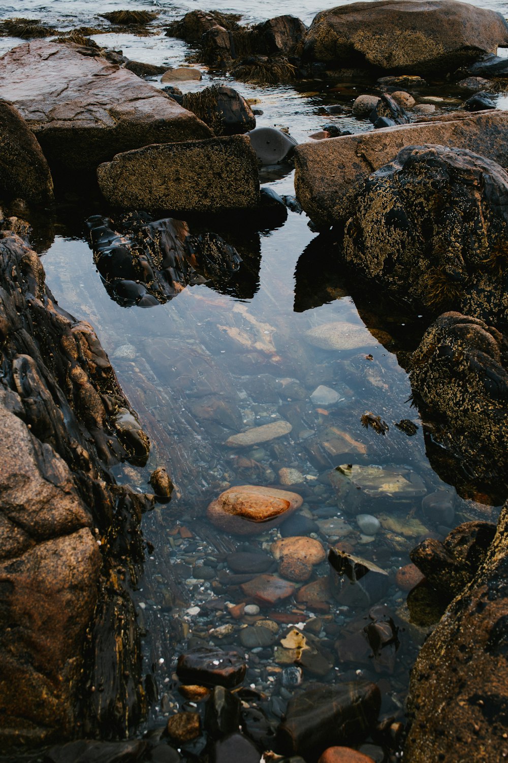 brown rocks on river during daytime