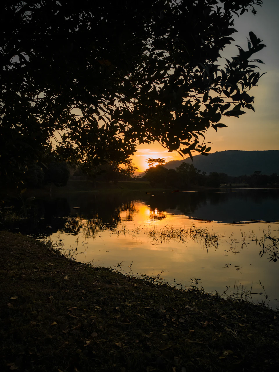 Serene lake at sunset with warm glow and vibrant orange-yellow sky reflections