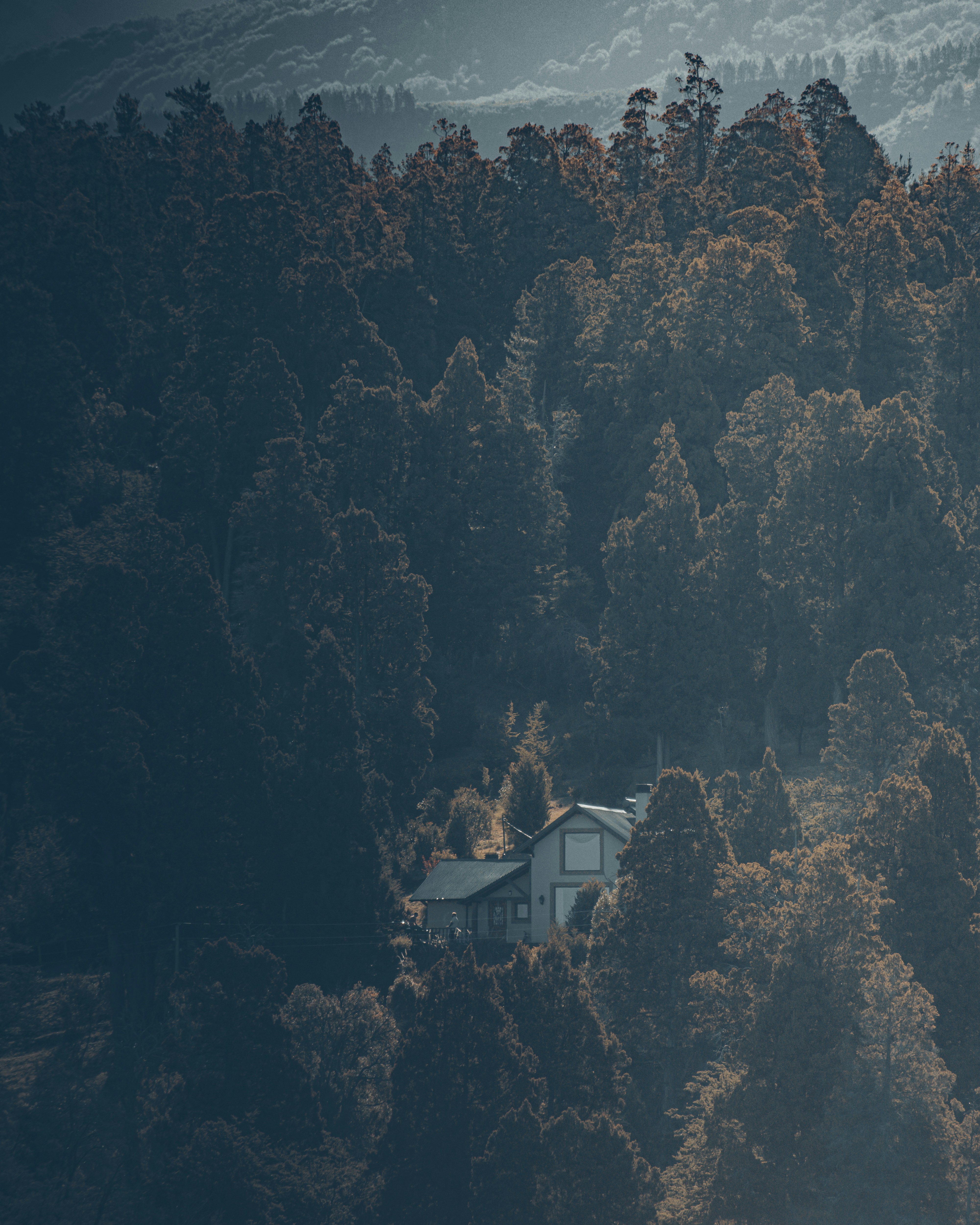 Photo by williamsiann