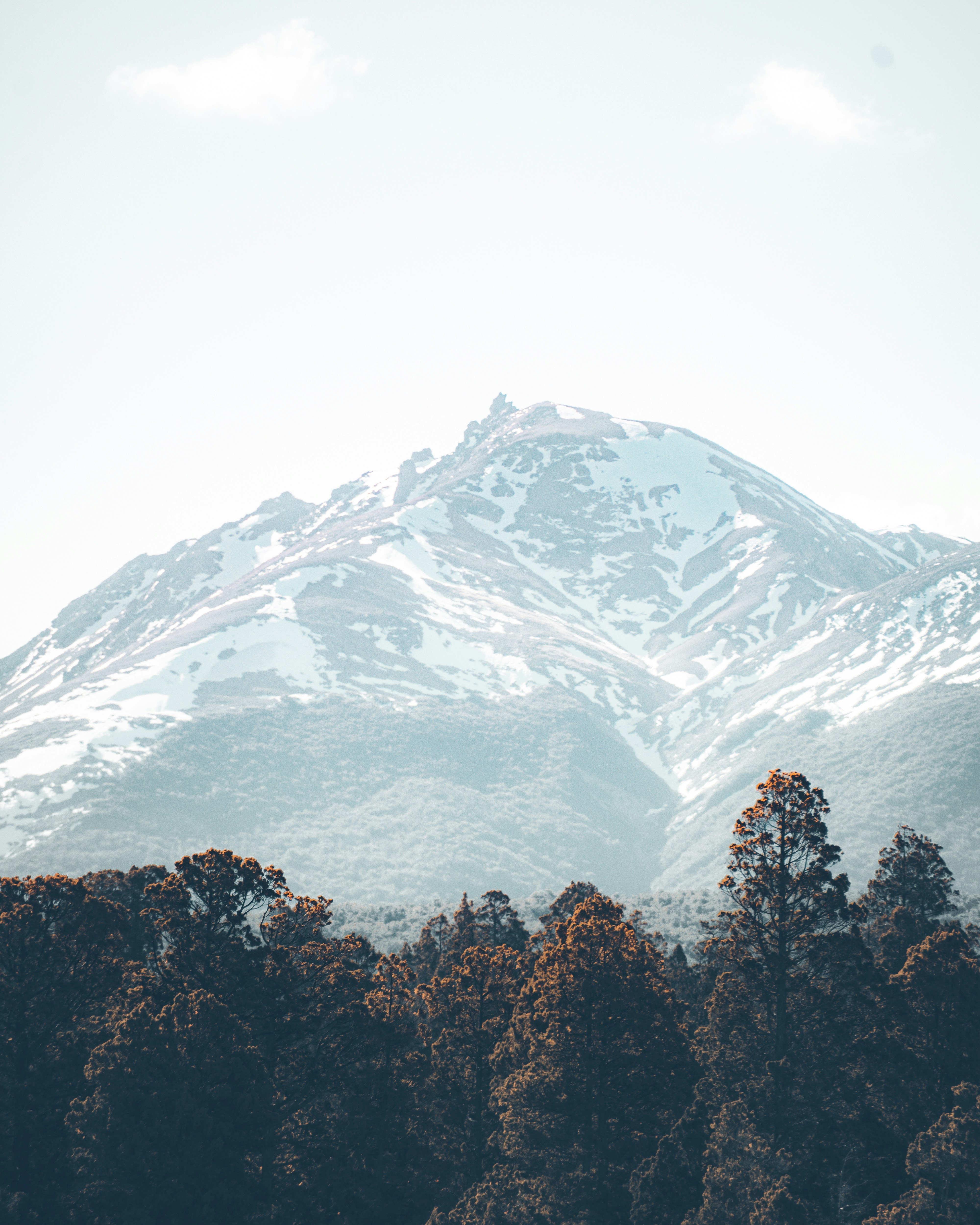 Photo by williamsiann