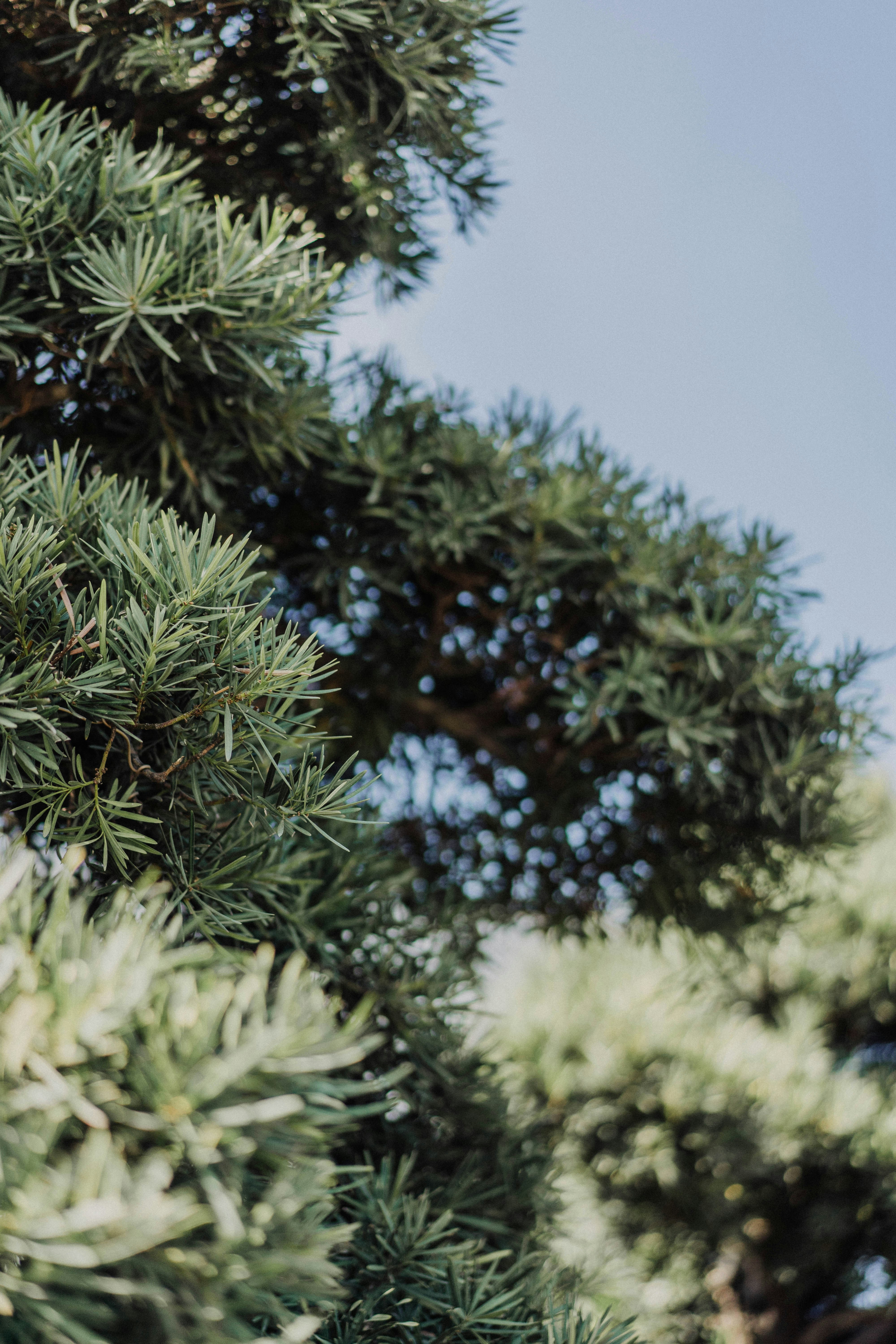 Photo by severusflint