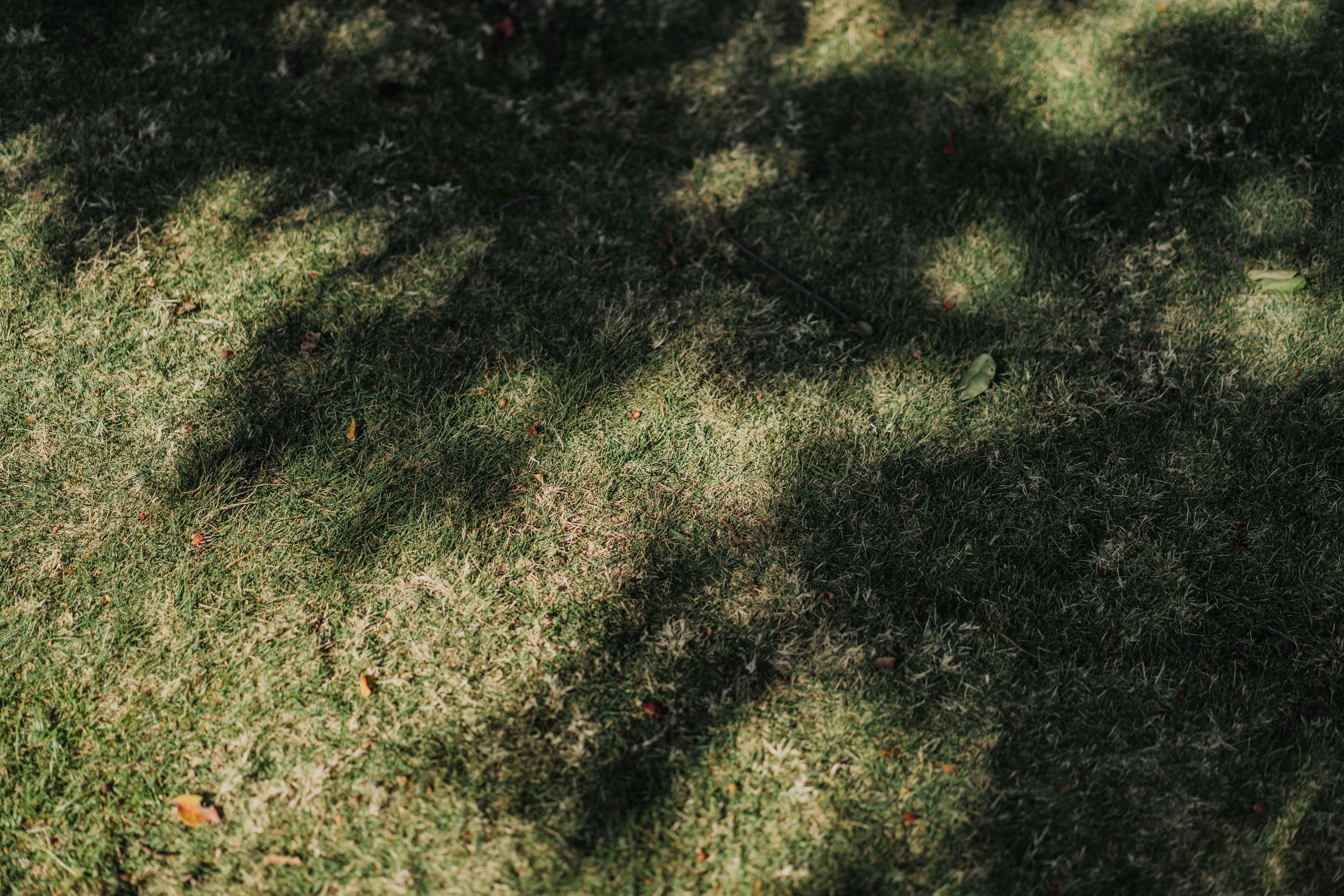 Photo by severusflint