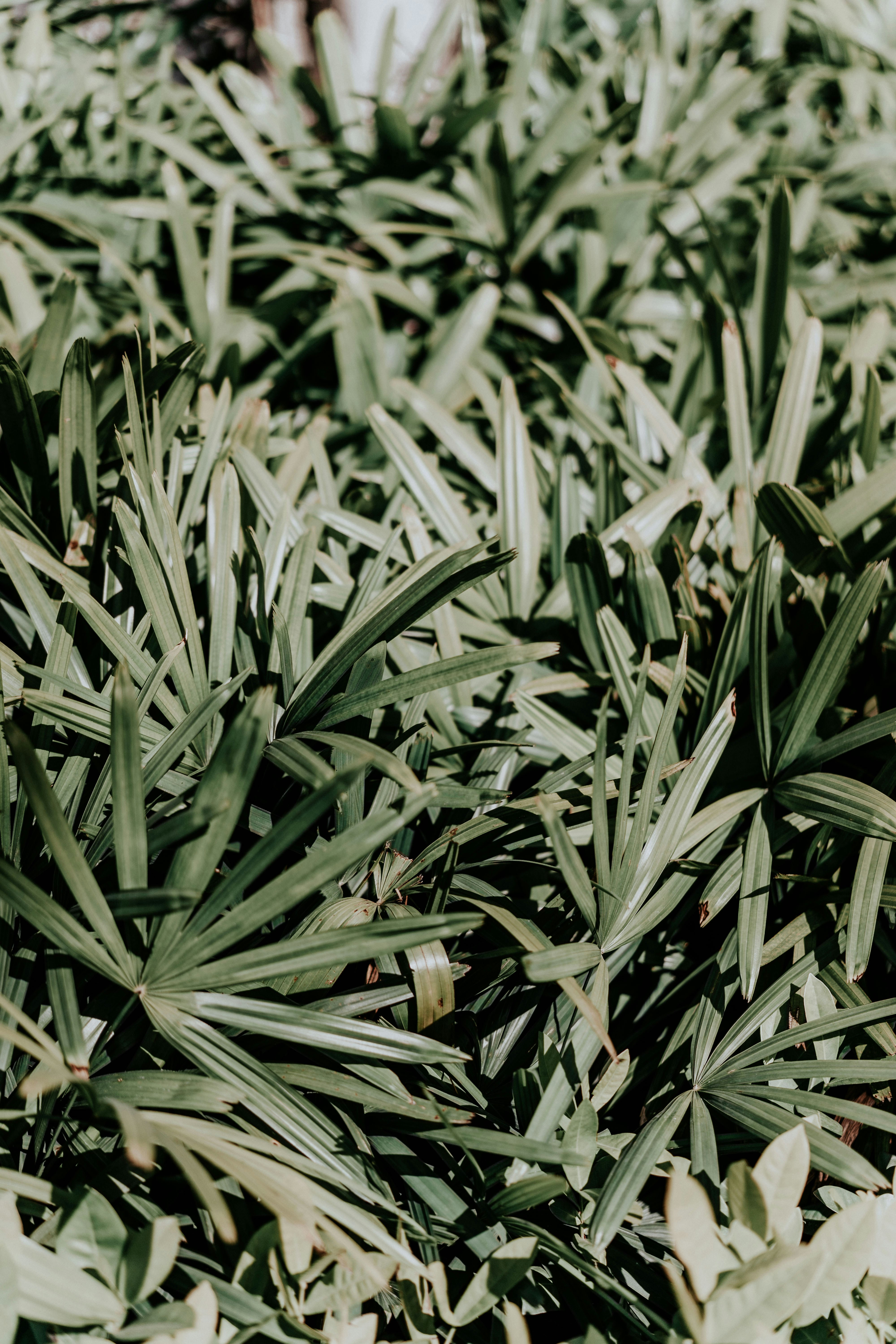 Photo by severusflint