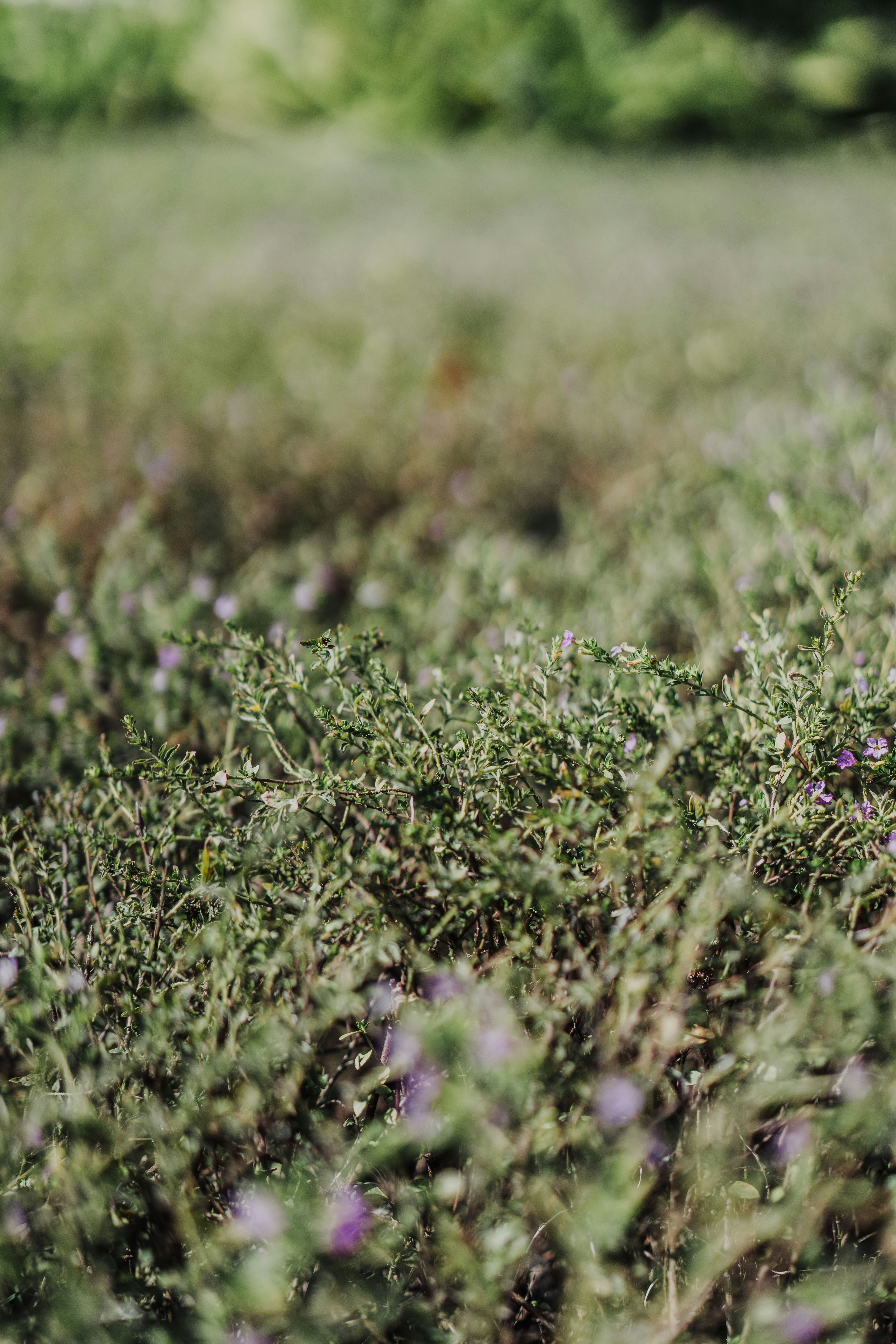 Photo by severusflint