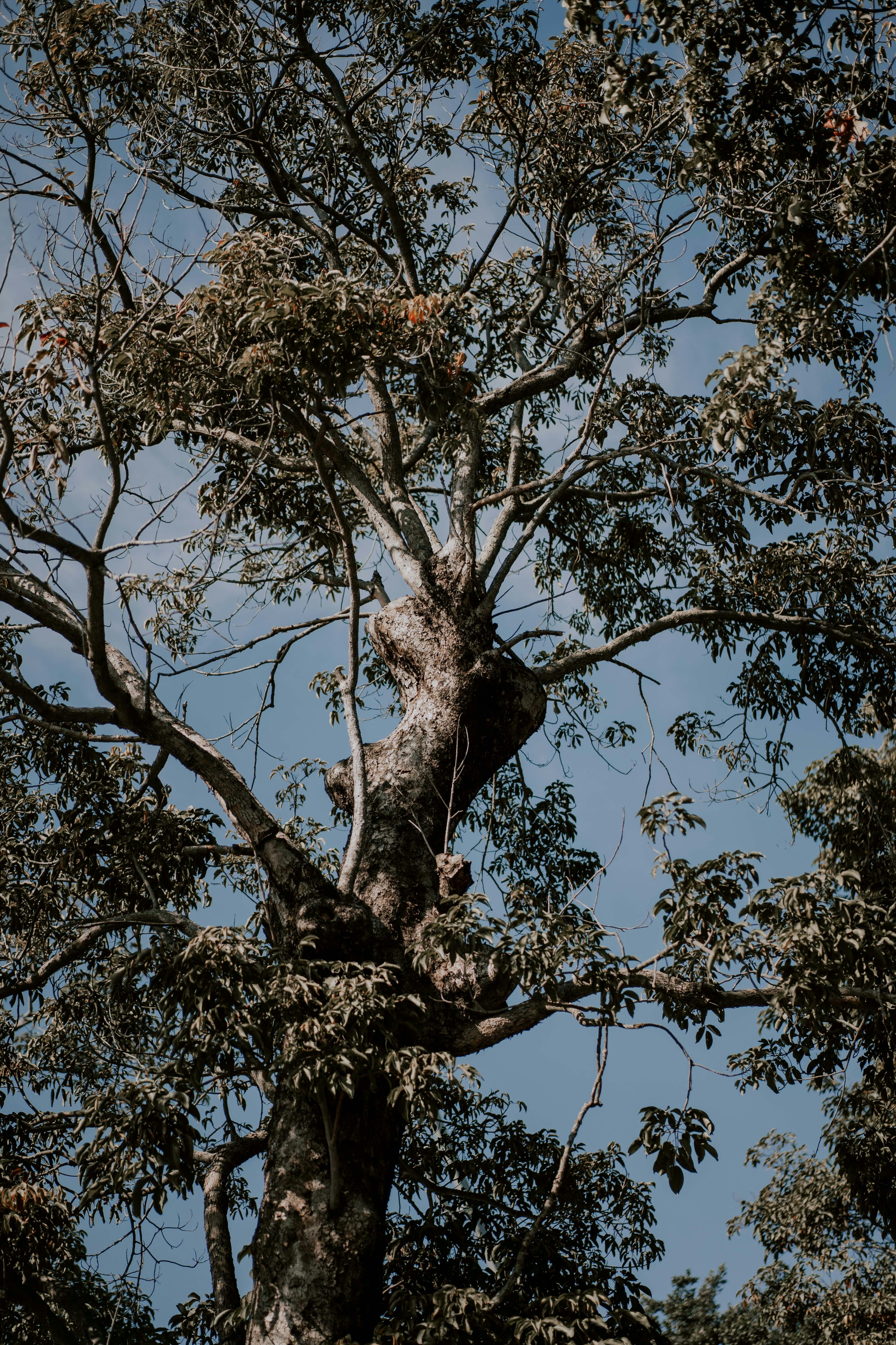 Photo by severusflint