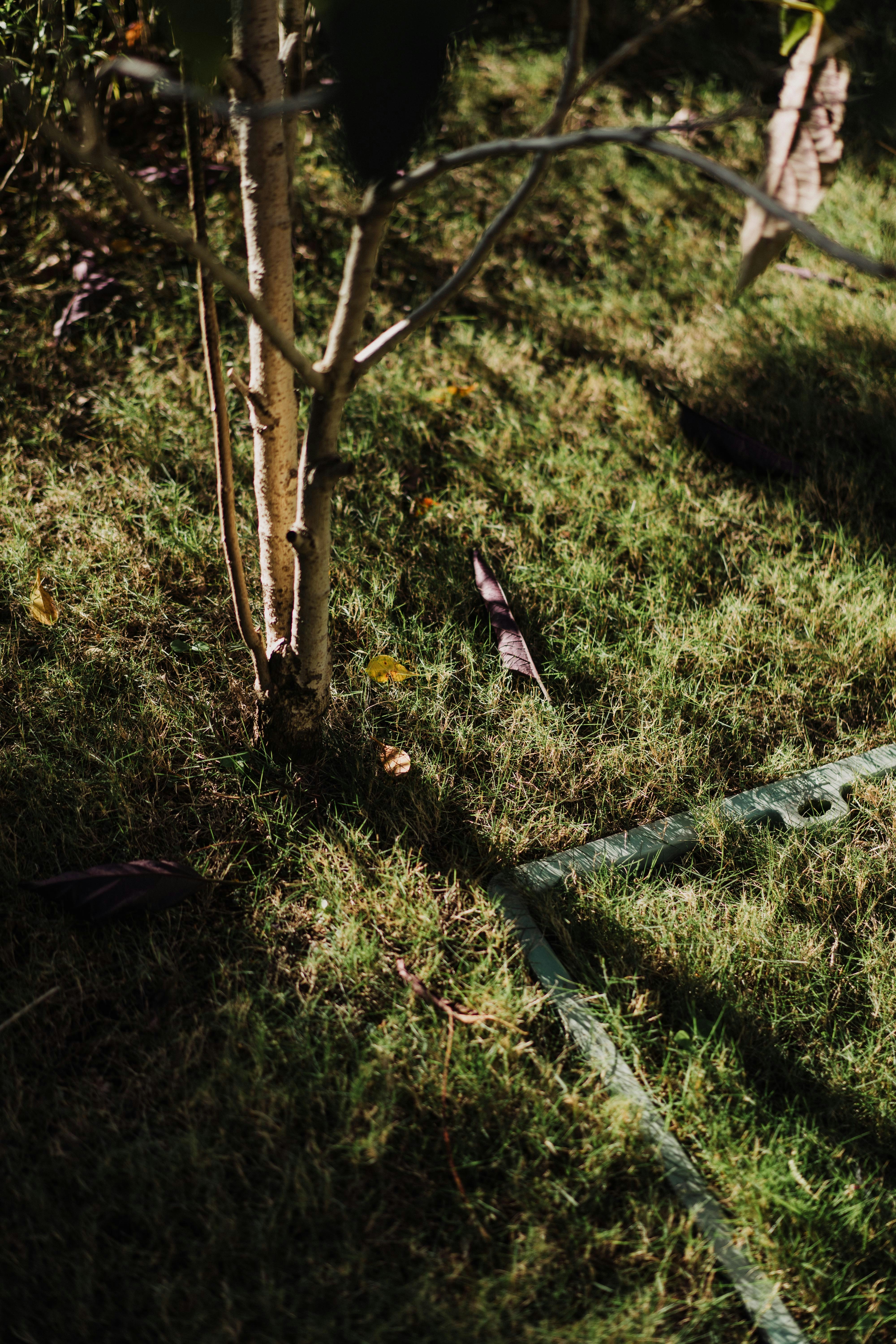 Photo by severusflint