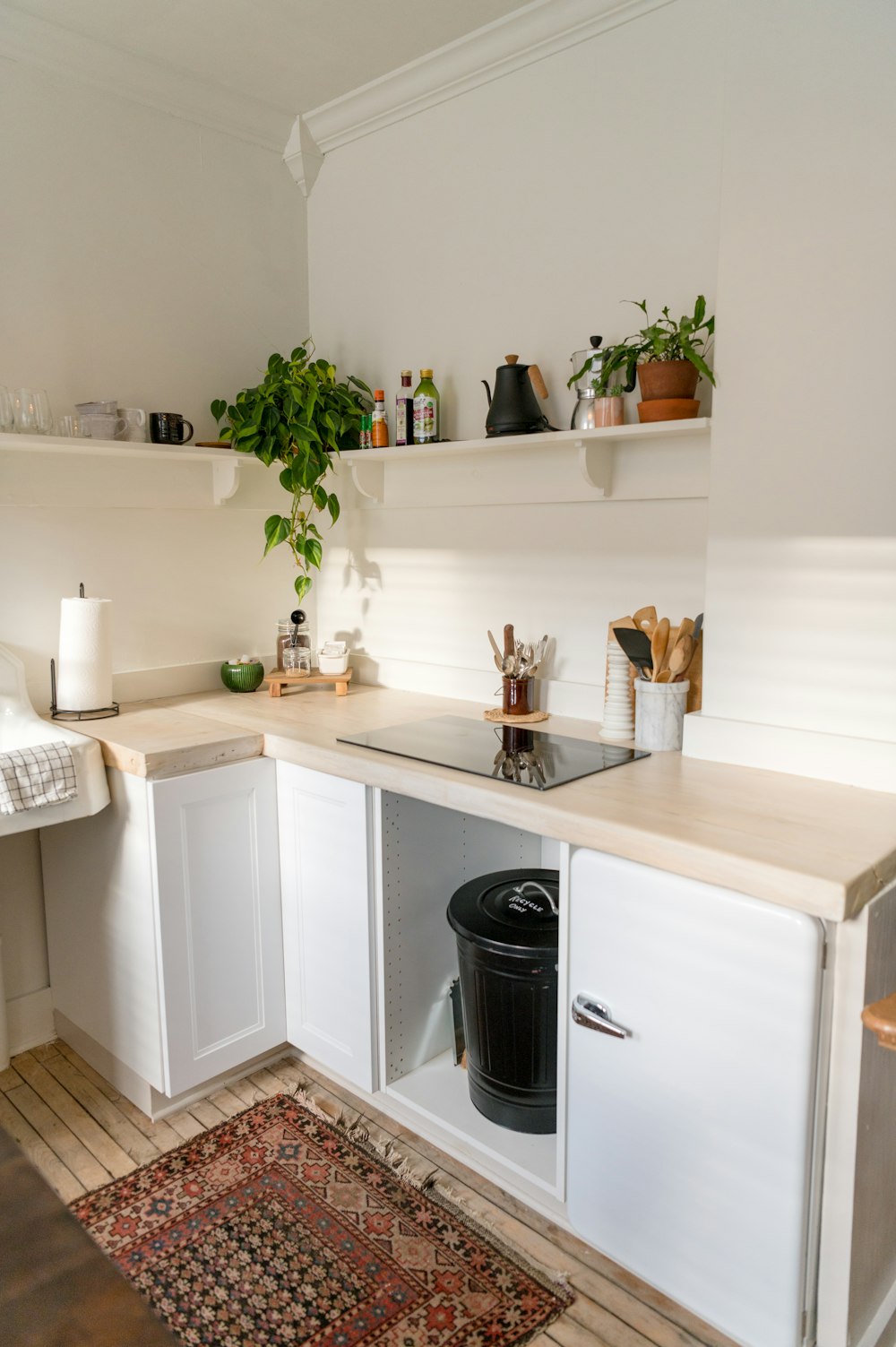 green plant on white wooden shelf