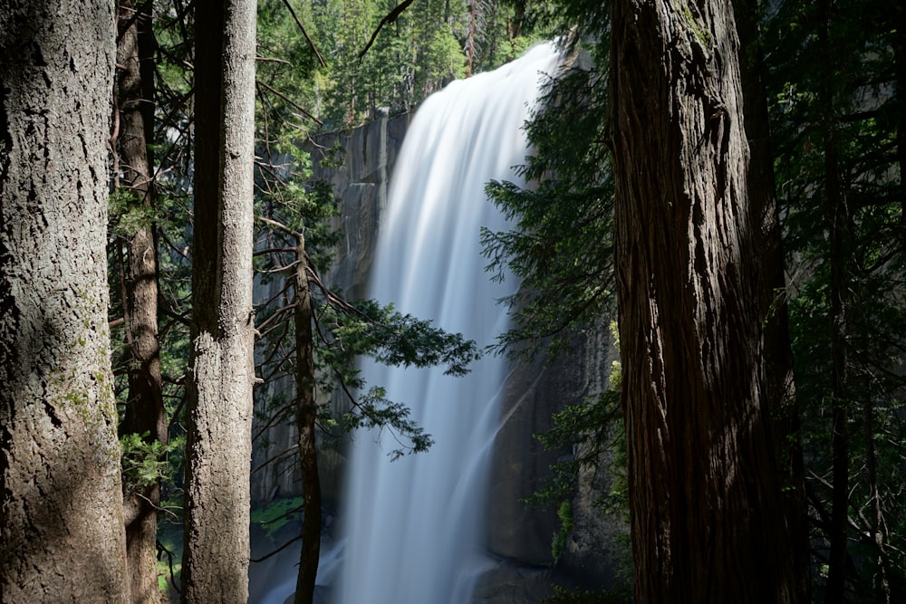 green tree near waterfalls during daytime