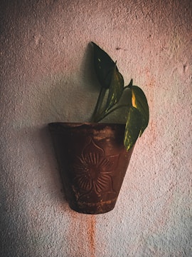 A rustic brown pot with a floral motif embossed on its side is mounted on a textured, weathered wall. Several green leaves with hints of yellow grow from the pot, creating a simple, natural display.
