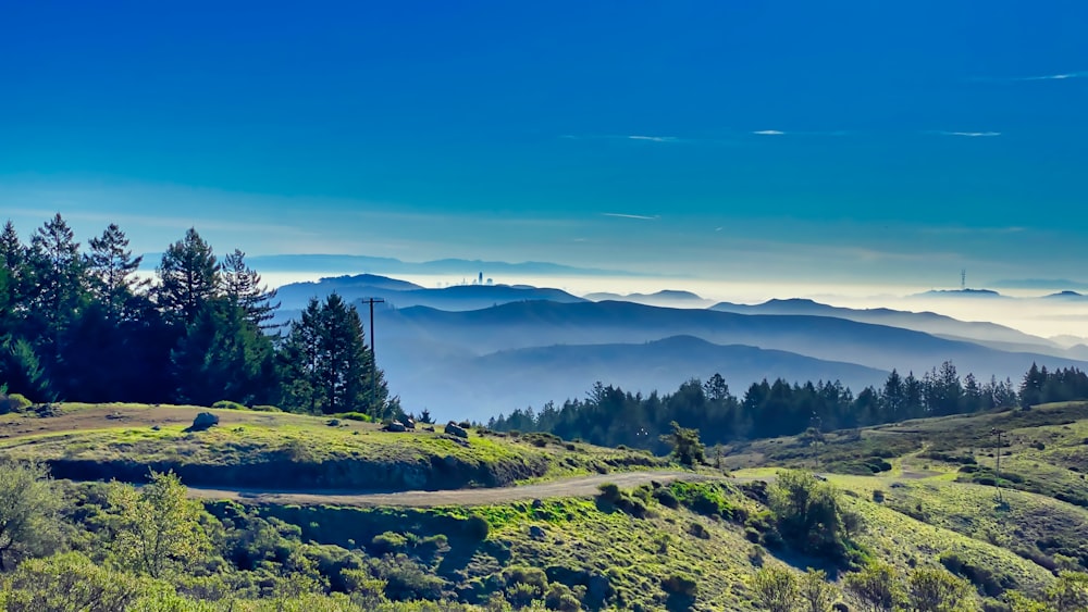 green trees on hill under blue sky during daytime