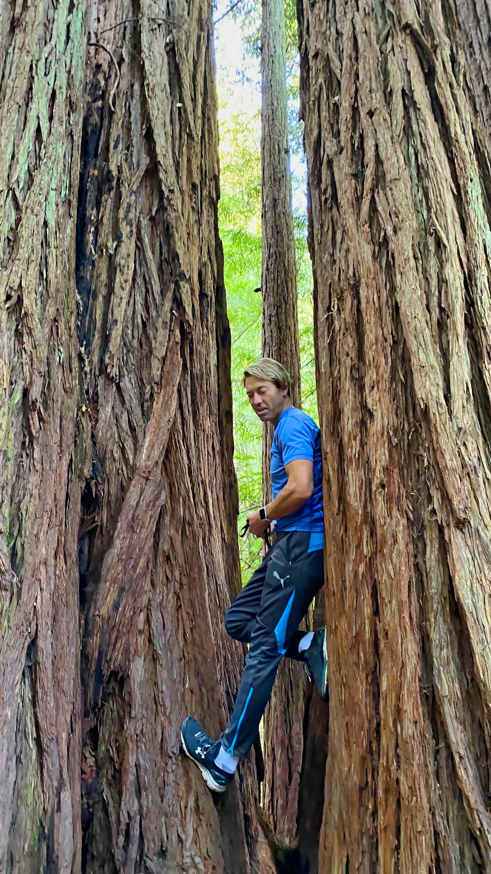 boy in blue crew neck t-shirt and blue denim jeans climbing on brown tree during