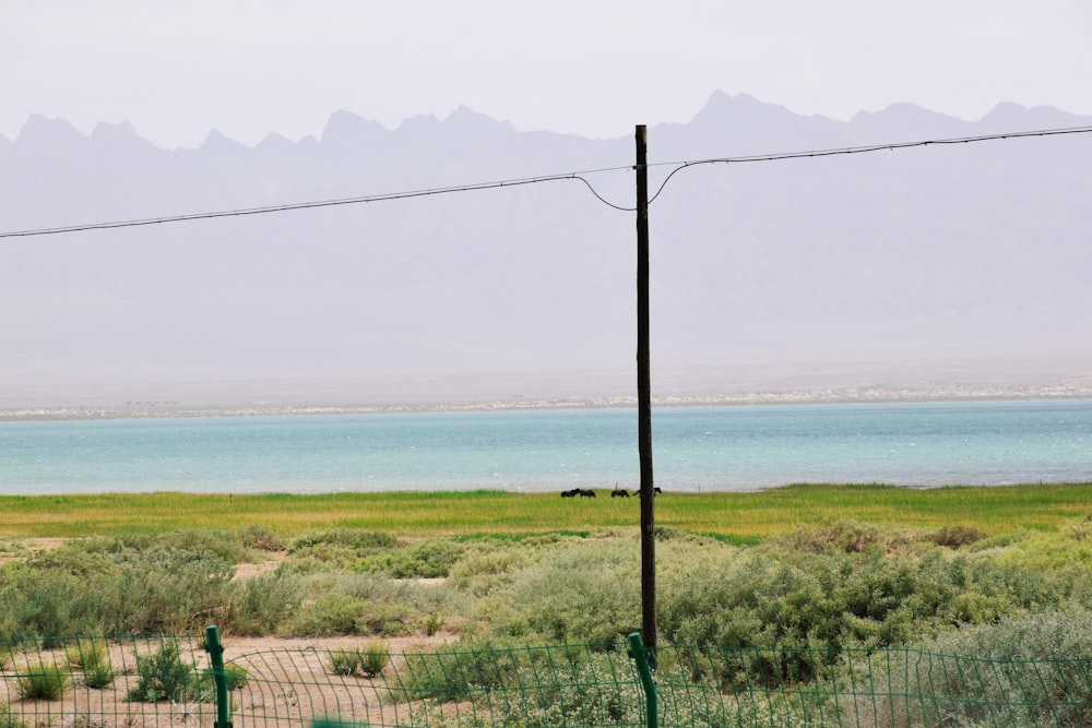 green grass field near body of water during daytime