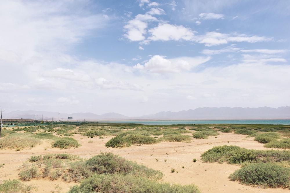 green grass field near body of water during daytime