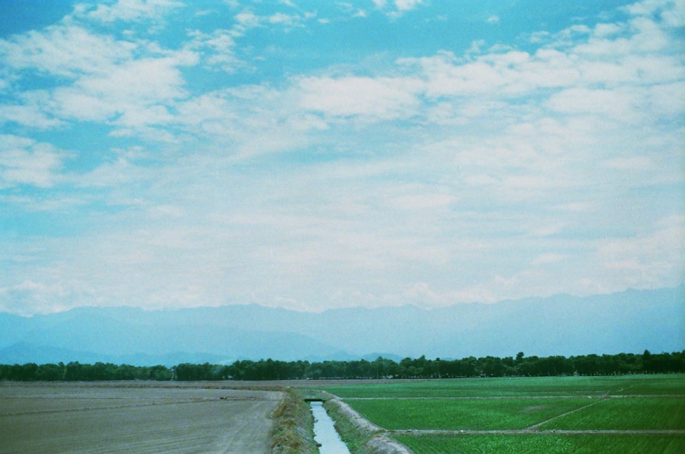 Campo de grama verde sob o céu azul durante o dia