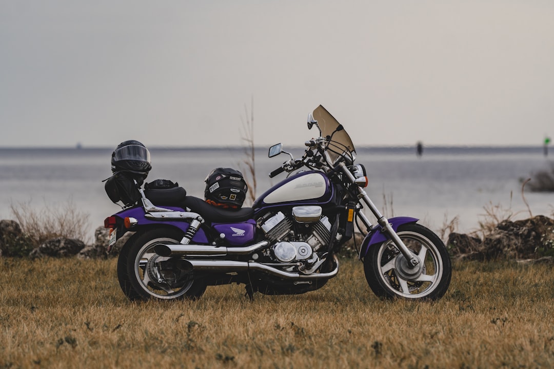 blue and black sports bike on brown grass field during daytime