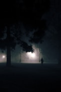 A detective tailing a suspect discreetly through a park at dusk.