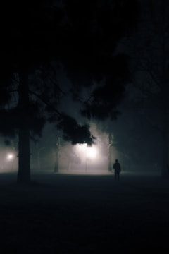 A detective tailing a suspect discreetly through a park at dusk.