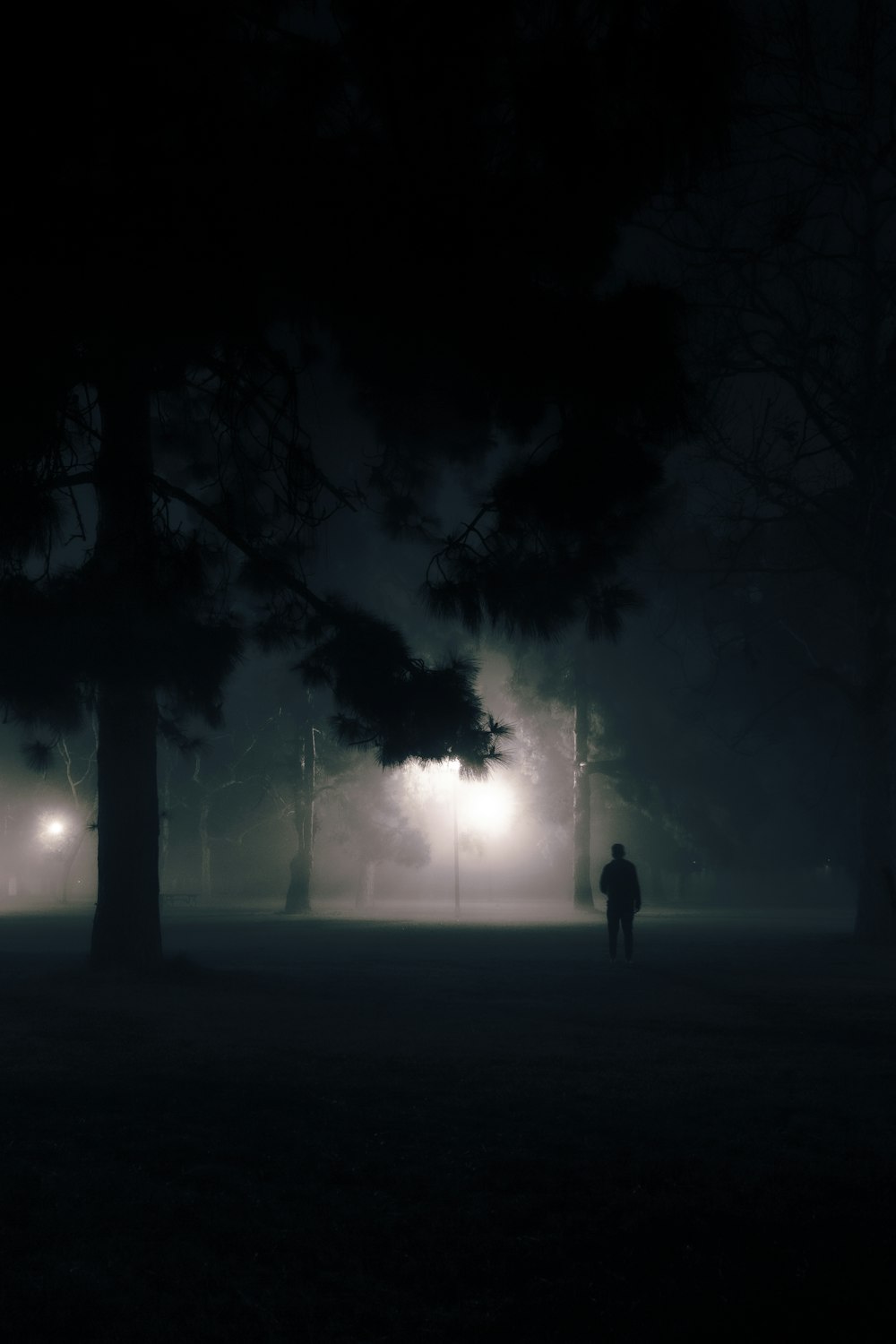 person standing on green grass field during night time