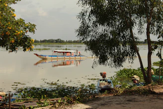 A sleek turquoise canal boat gliding quietly on a morning mist-covered canal.