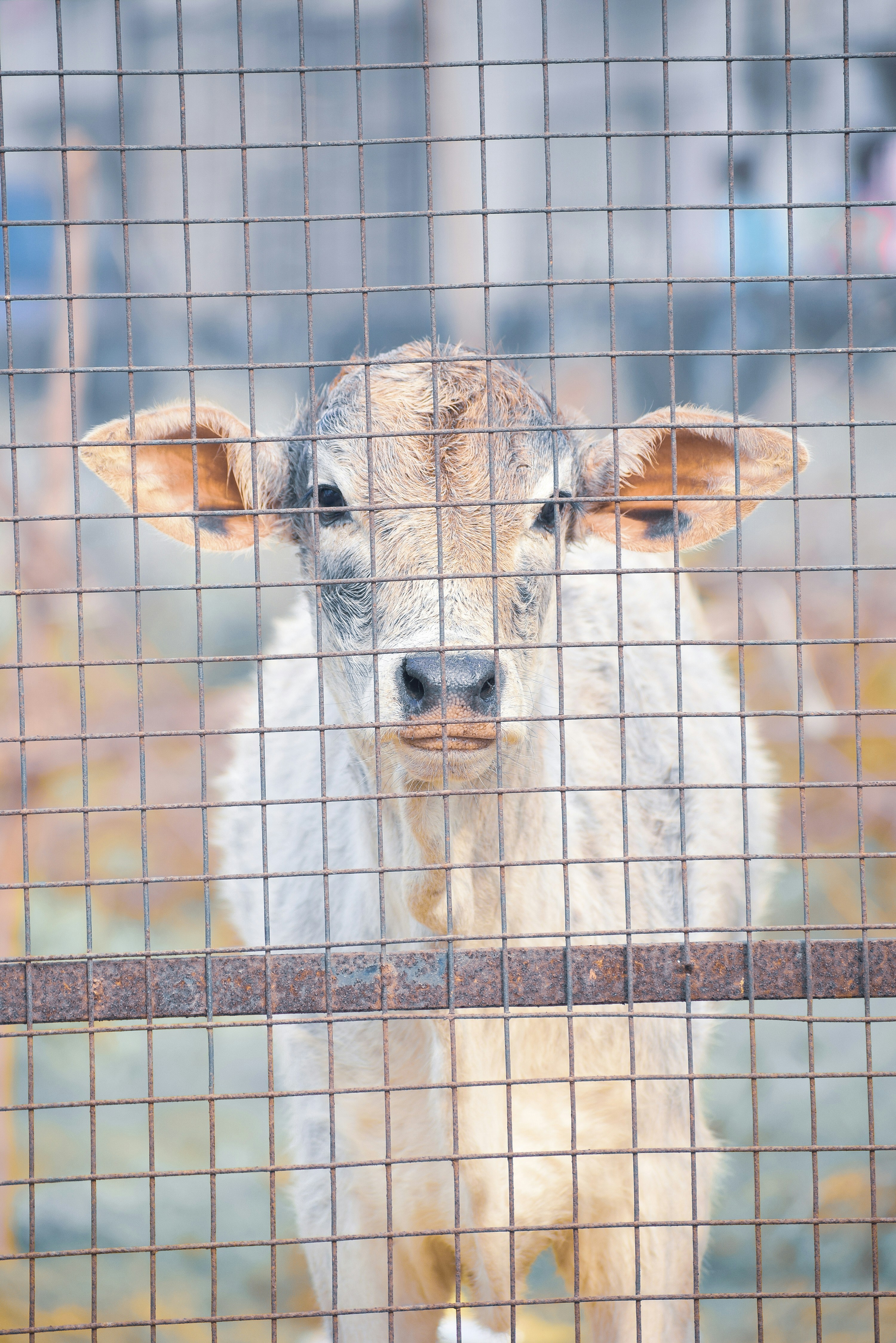 Photo by prateekjaiswal