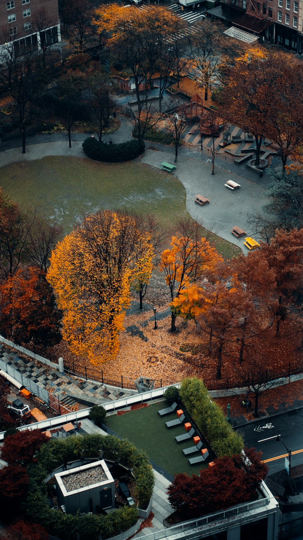 aerial view of swimming pool surrounded by trees