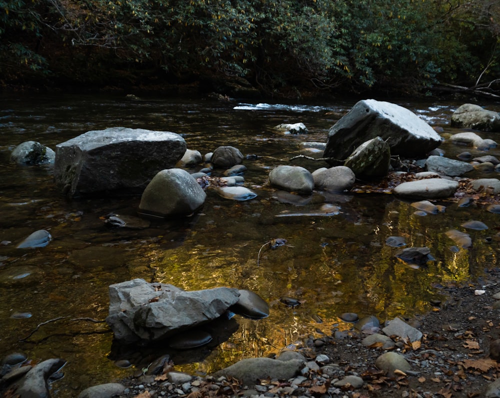 gray rocks on river during daytime