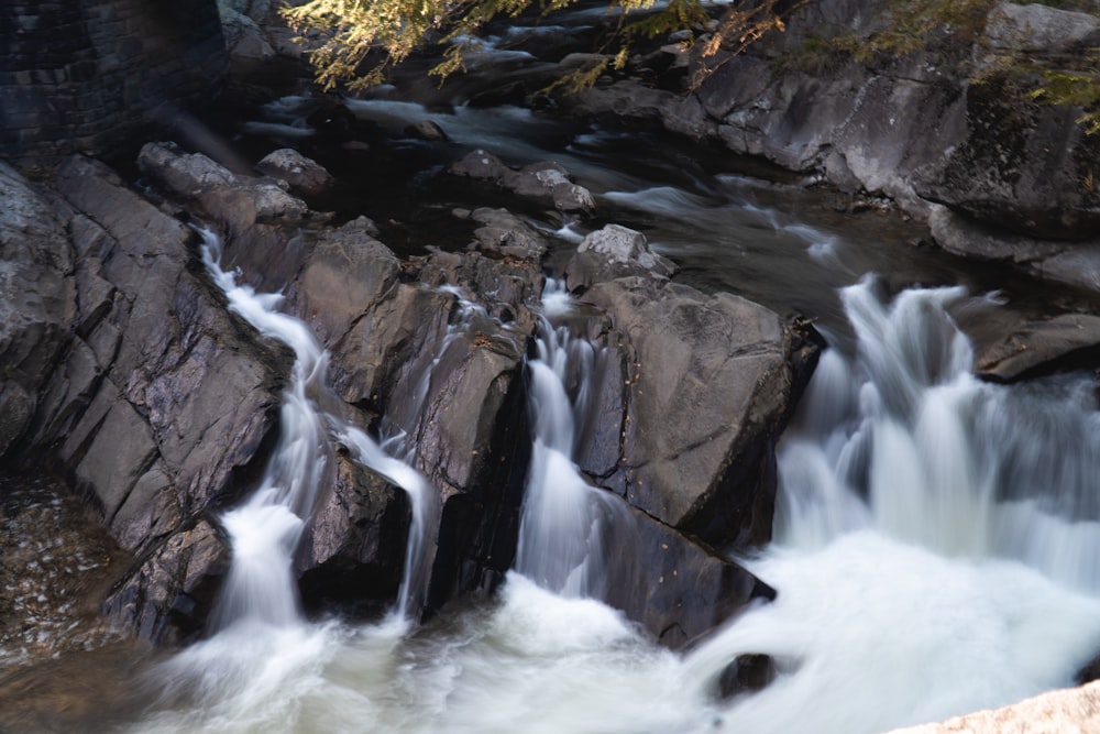 water falls in the middle of yellow and green trees