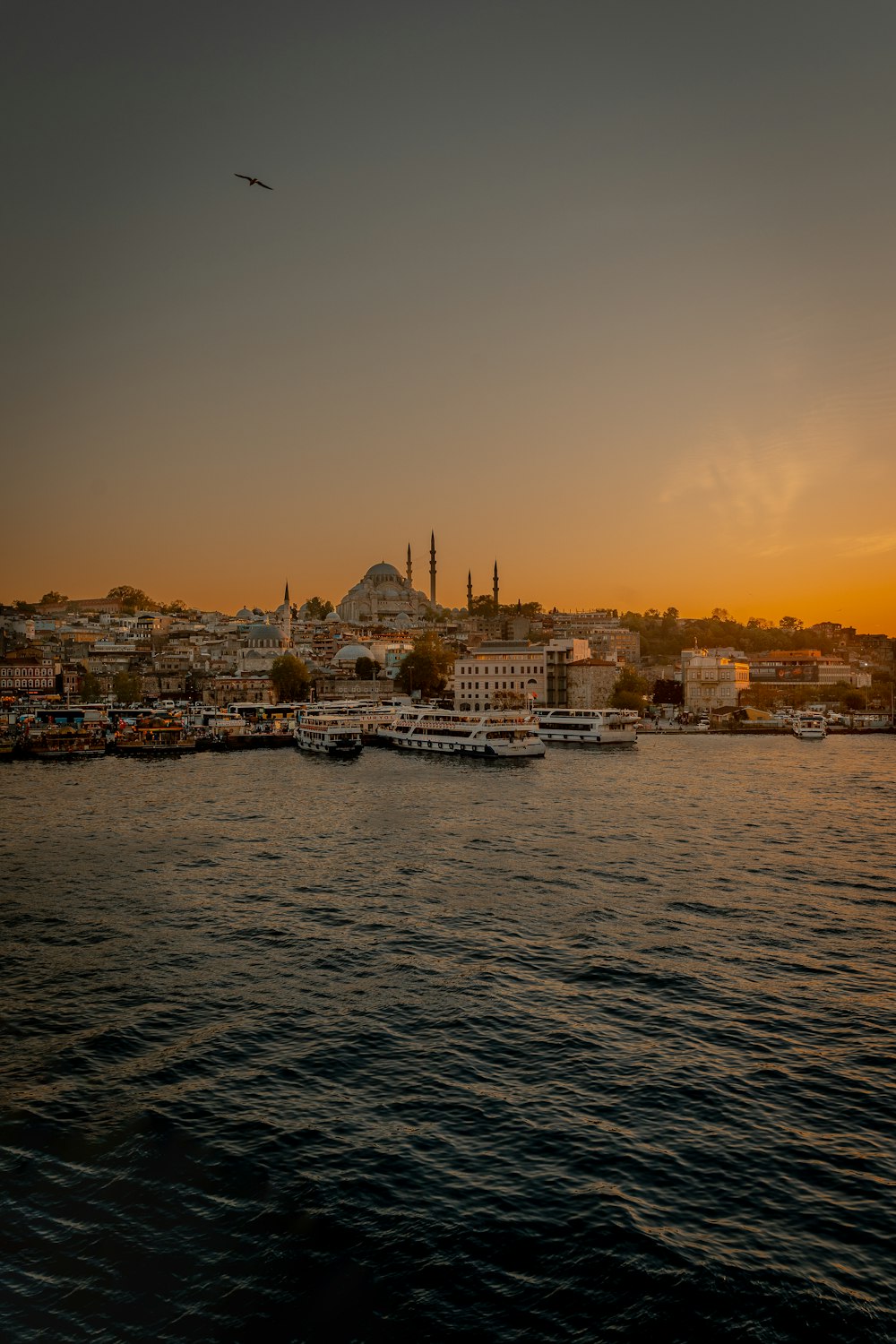 white and brown boat on sea near city buildings during sunset