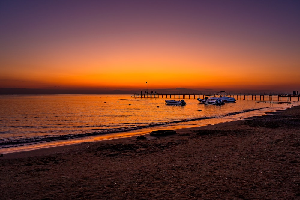 people on beach during sunset