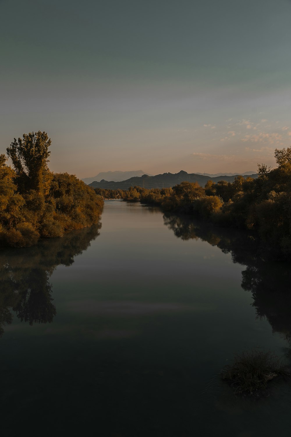 green trees beside river under blue sky during daytime