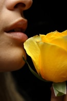 person holding yellow rose flower
