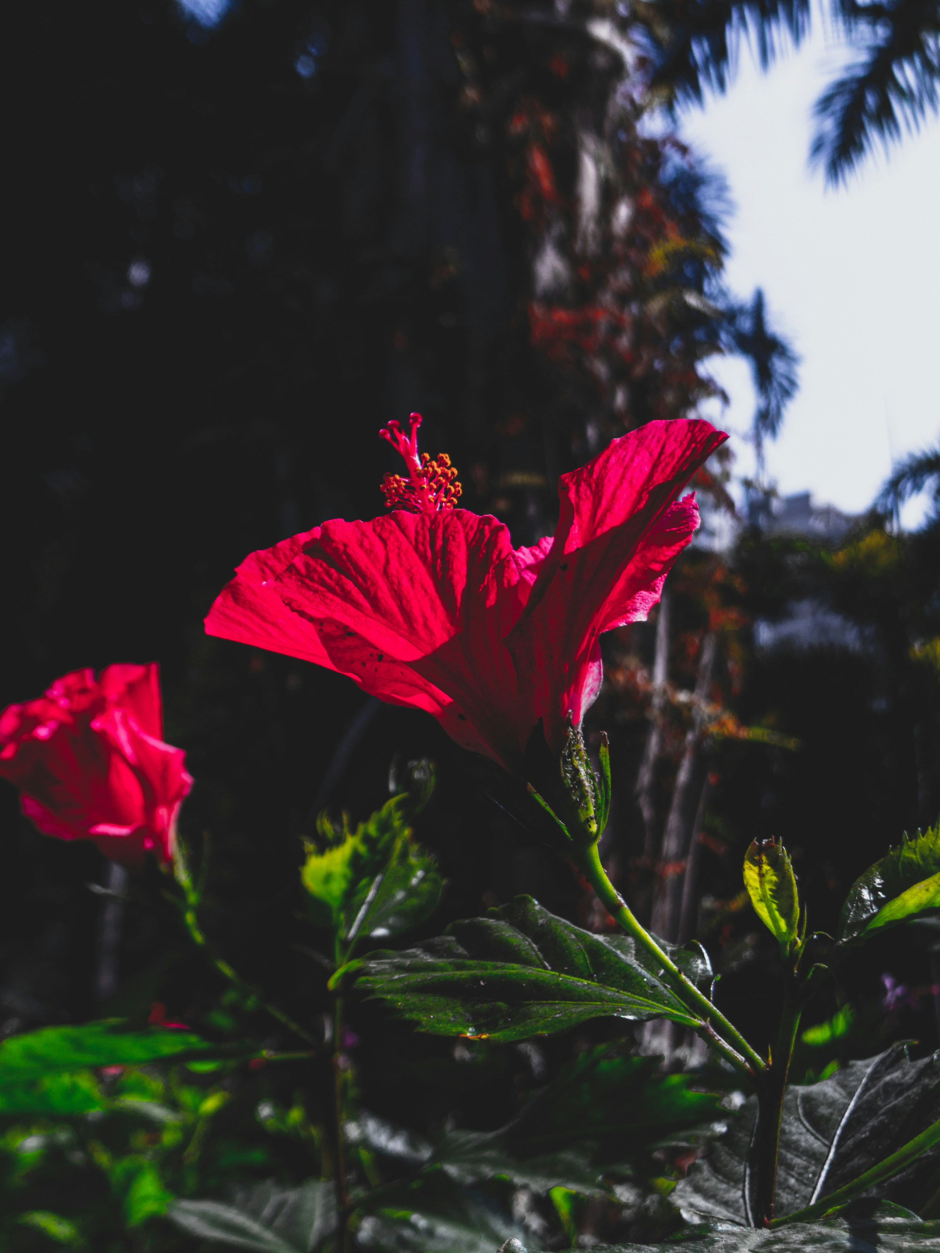 Photo by chansummerla