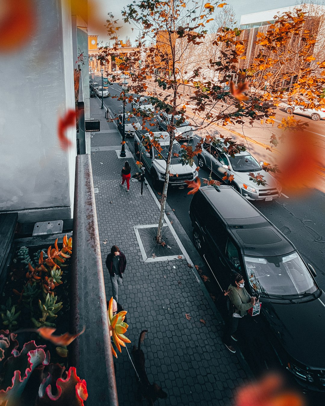 cars parked on parking lot during daytime