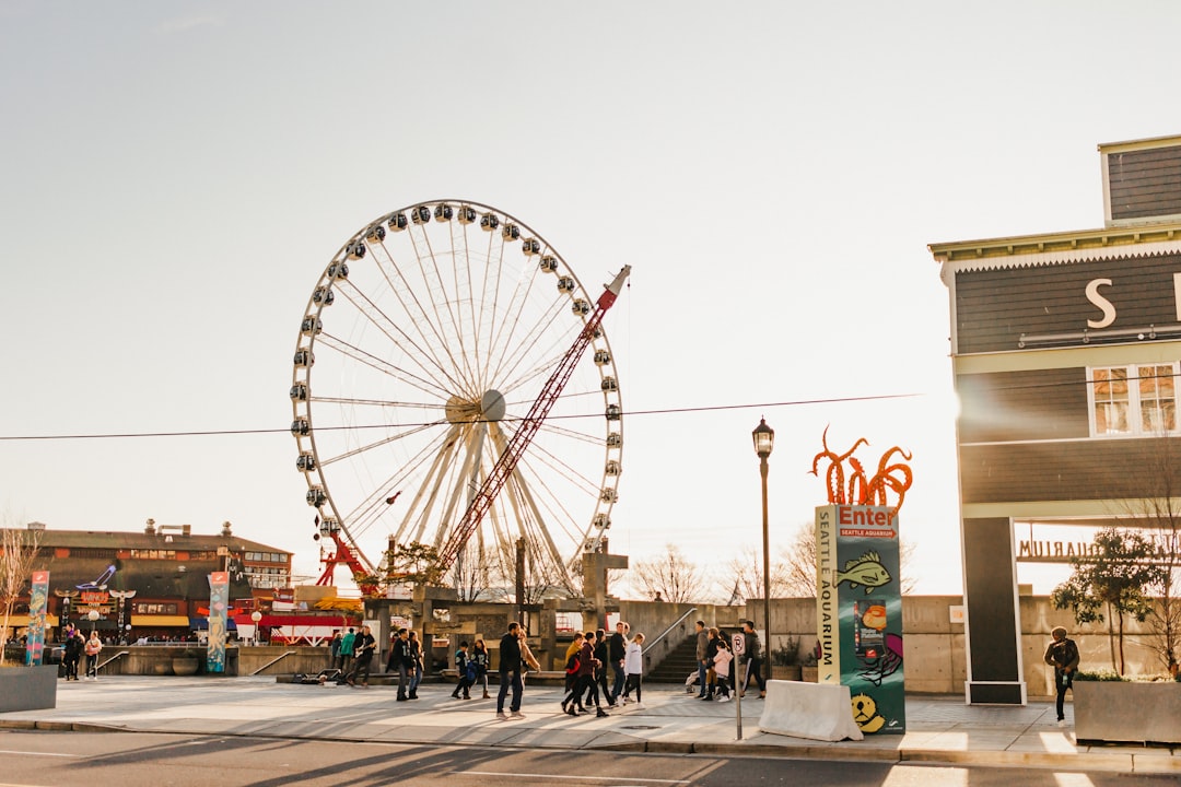 people walking on street near ferris wheel during daytime