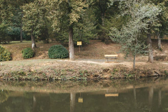 A serene riverside café with wooden seating surrounded by tall pine trees and flowing water.
