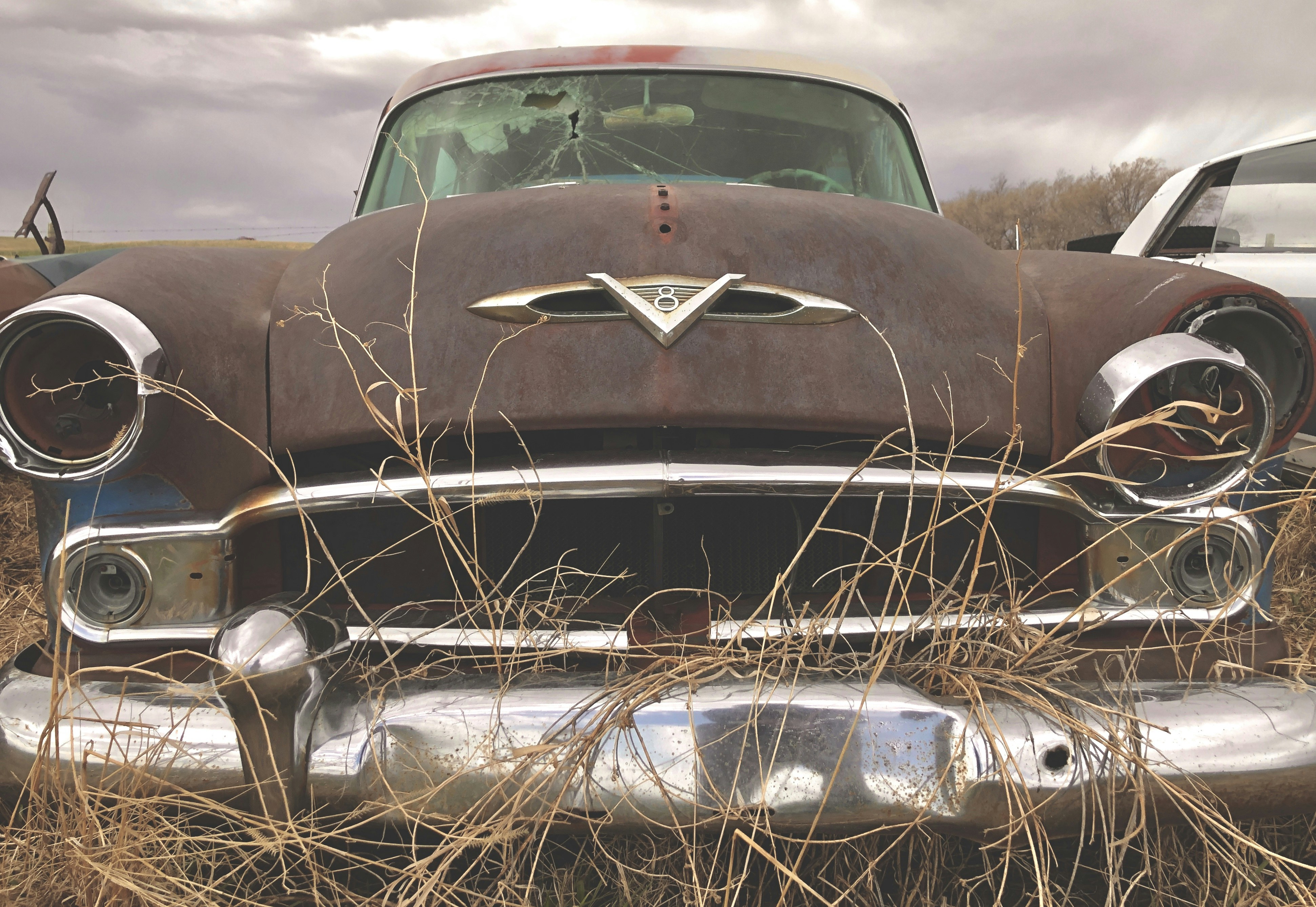 Photo by capturesawyer