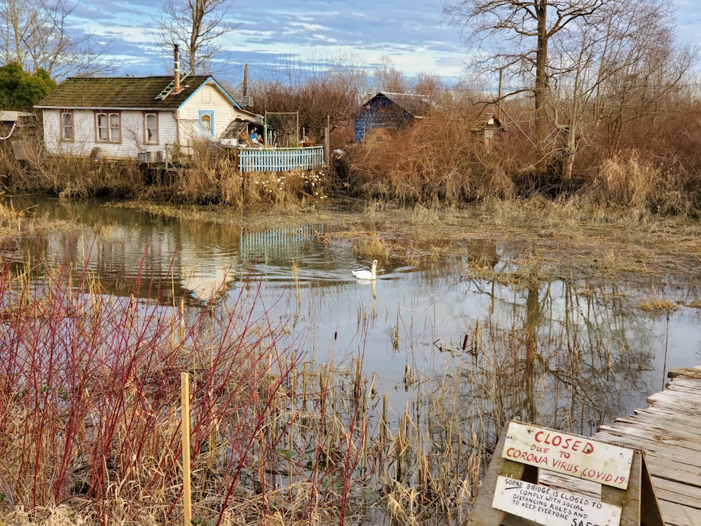 brown and white wooden house near body of water during daytime