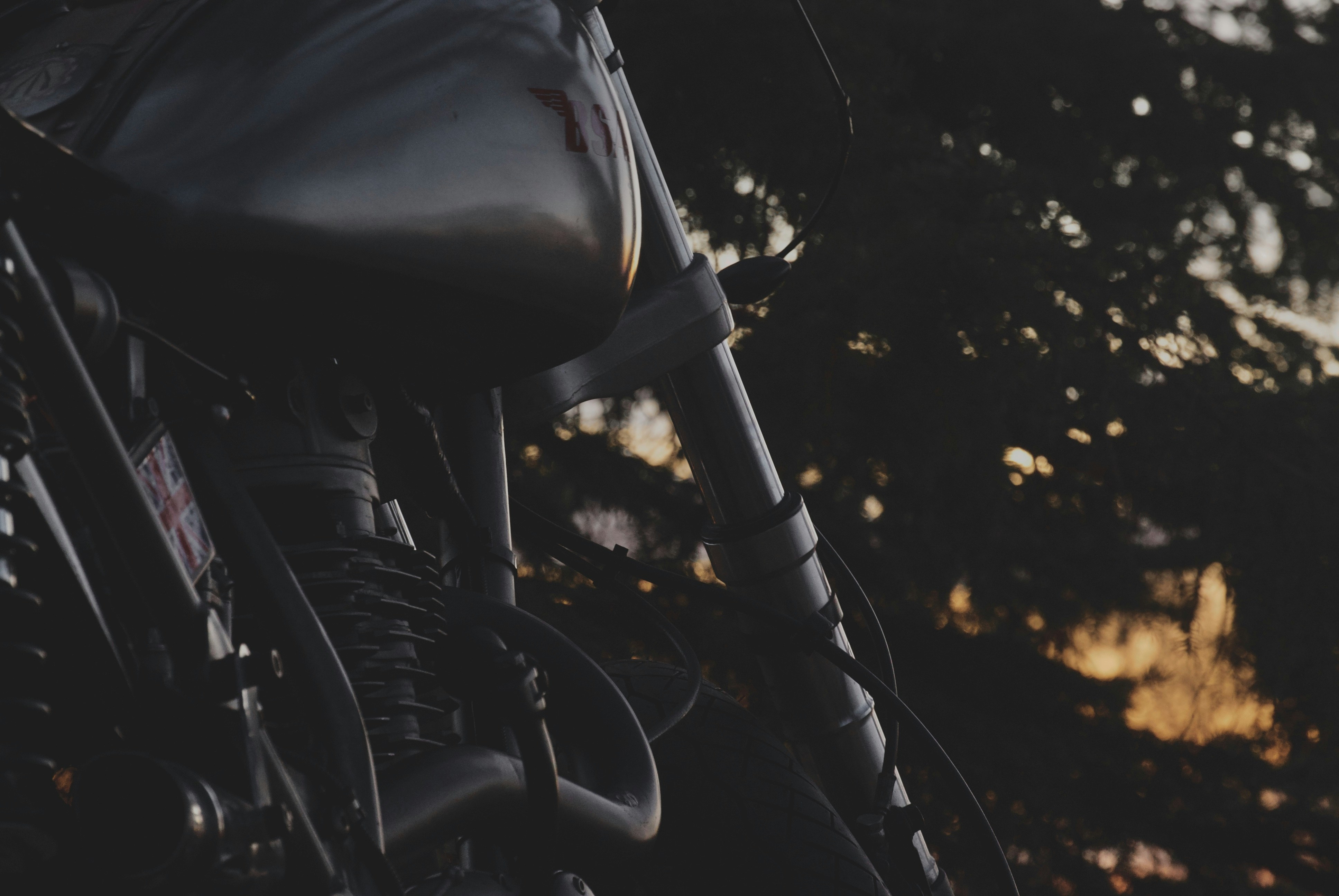 Photo by capturesawyer