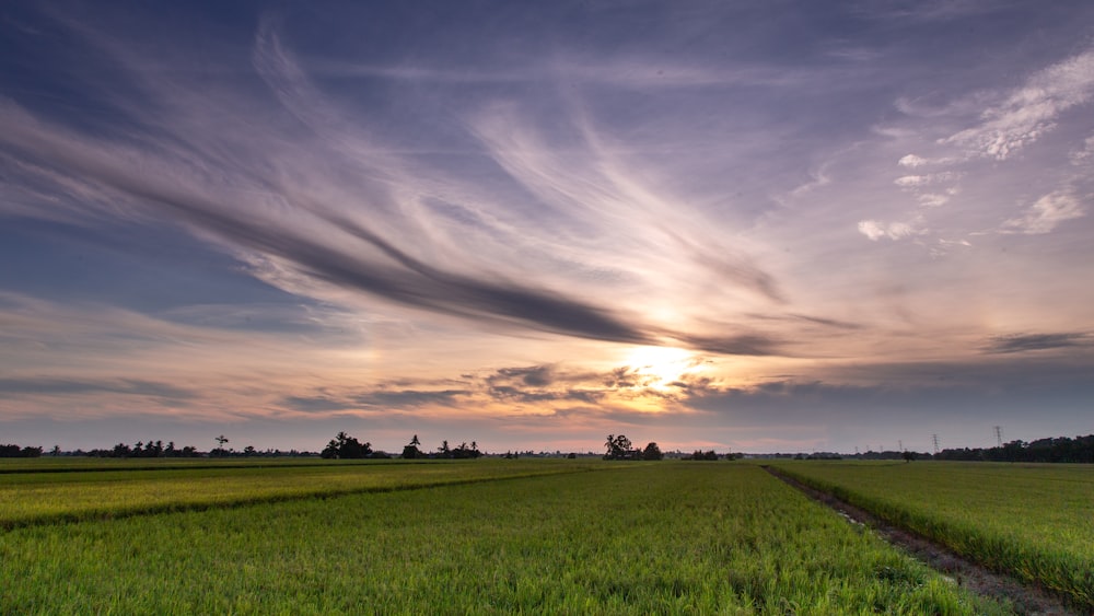 Grüne Rasenwiese unter bewölktem Himmel tagsüber