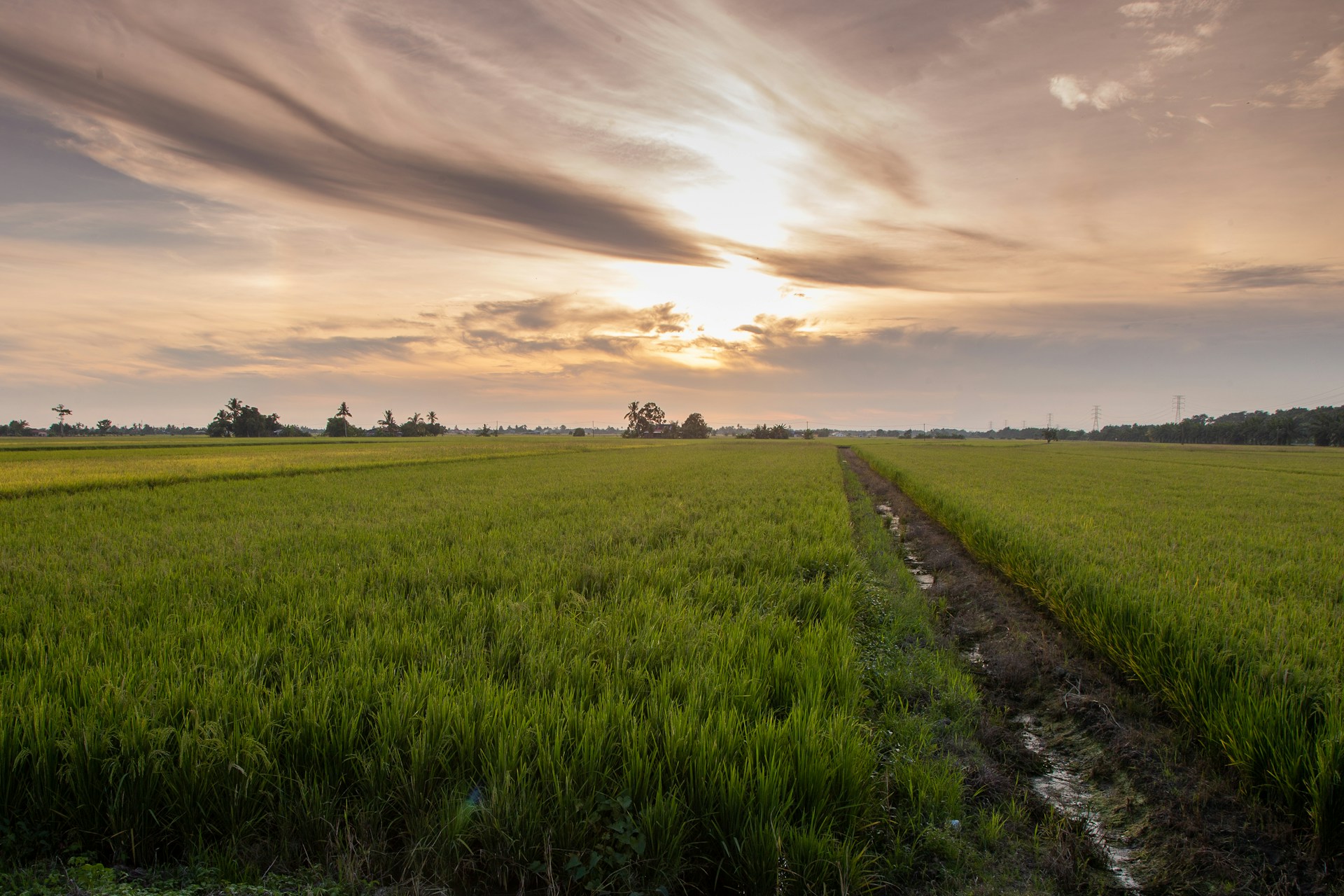 green grass field under cloudy sky during daytime