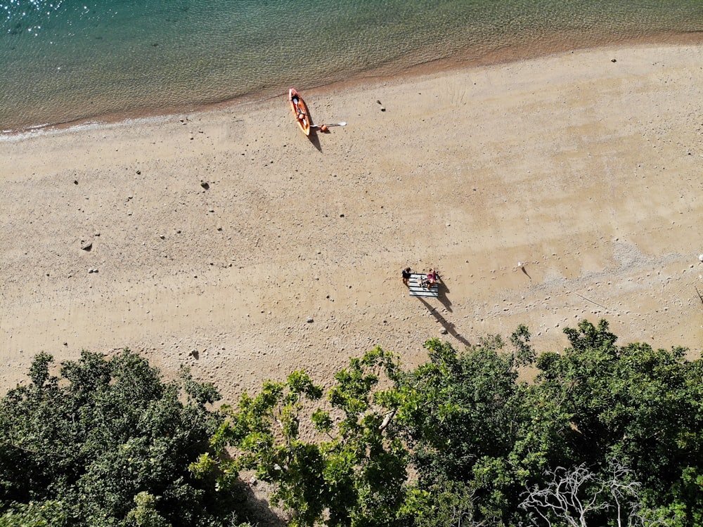 people on beach during daytime