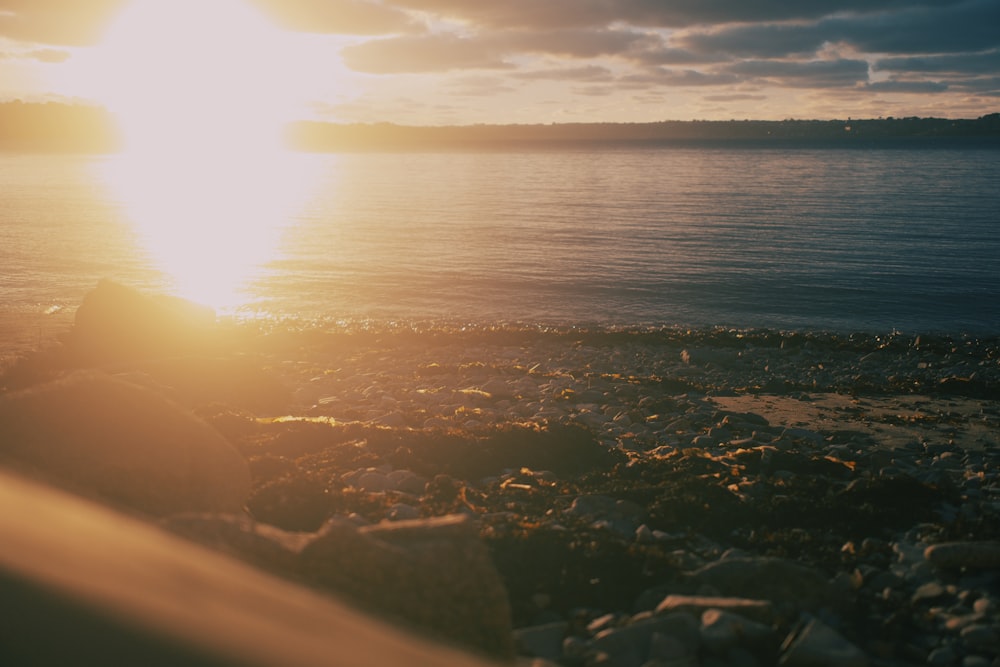 body of water during sunset