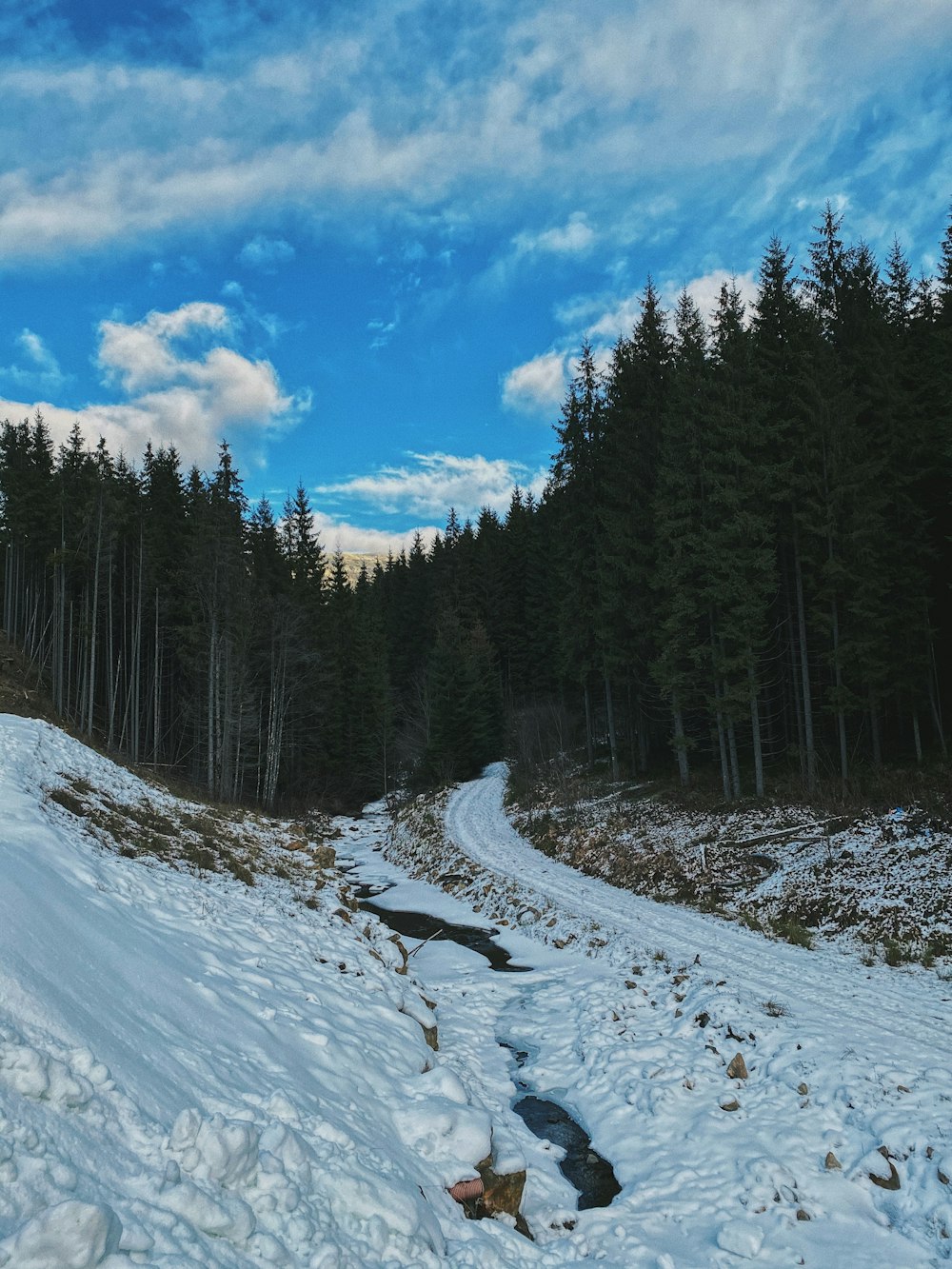 Schneebedeckte Straße zwischen grünen Bäumen unter blauem Himmel und weißen Wolken tagsüber